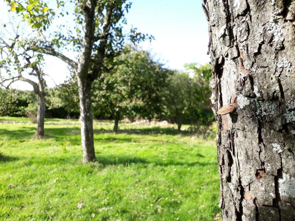 Terre De Reveries Maisoncelles-la-Jourdan ภายนอก รูปภาพ